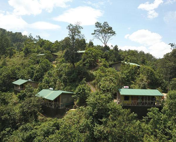 Gorilla Hills Eco-Lodge Kisoro Екстер'єр фото
