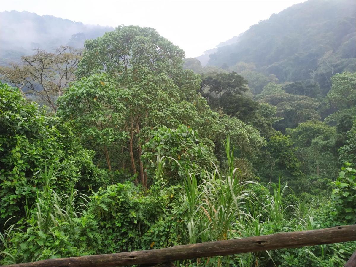 Gorilla Hills Eco-Lodge Kisoro Екстер'єр фото