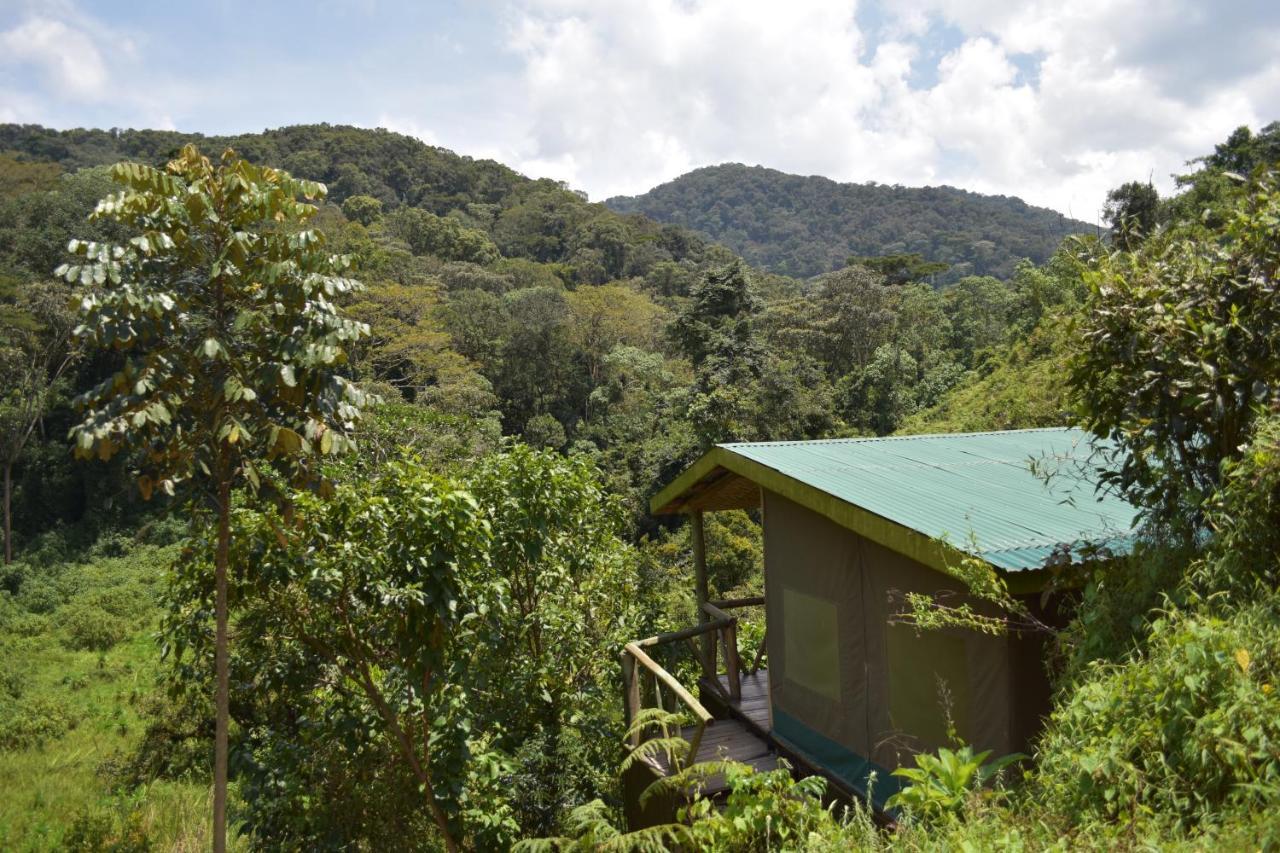 Gorilla Hills Eco-Lodge Kisoro Екстер'єр фото